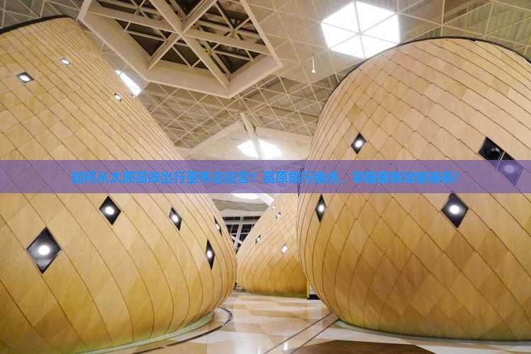 如何从太原高效出行至布达拉宫？高原旅行痛点，掌握最新攻略秘籍！