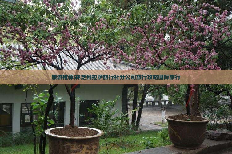 旅游推荐|林芝到拉萨旅行社分公司旅行攻略国际旅行