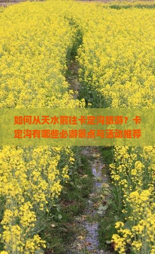 如何从天水前往卡定沟旅游？卡定沟有哪些必游景点与活动推荐？