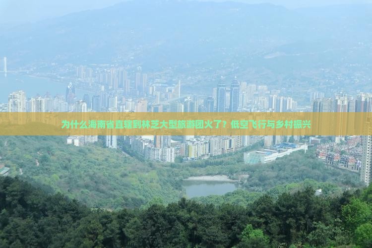 为什么海南省直辖到林芝大型旅游团火了？低空飞行与乡村振兴
