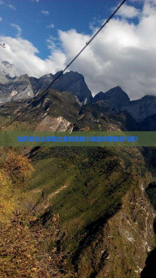 如何规划从阜阳出发到鲁朗小镇的详细旅游行程？