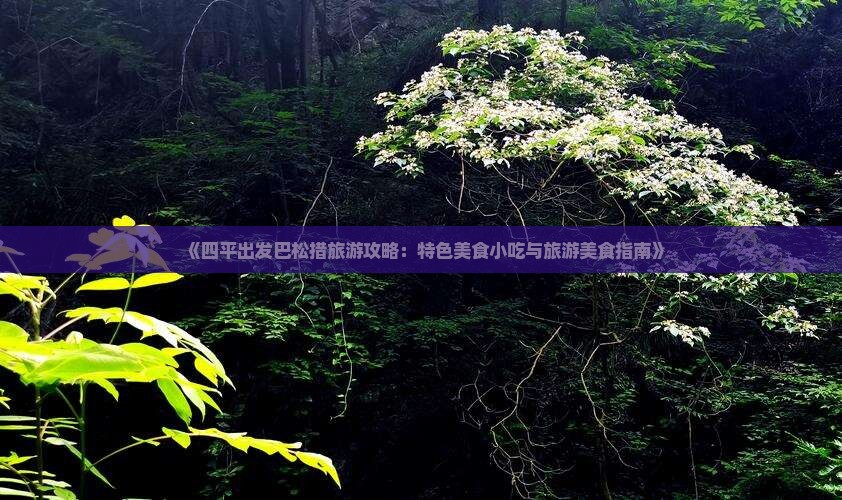 《四平出发巴松措旅游攻略：特色美食小吃与旅游美食指南》