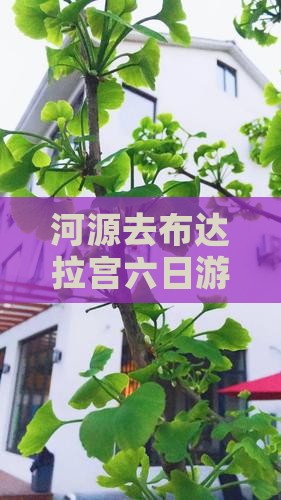 河源去布达拉宫六日游费用及路线攻略