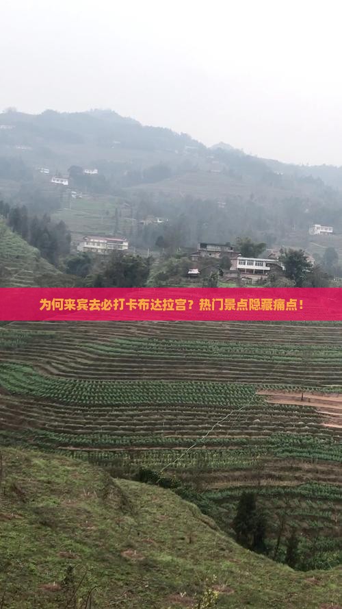为何来宾去必打卡布达拉宫？热门景点隐藏痛点！