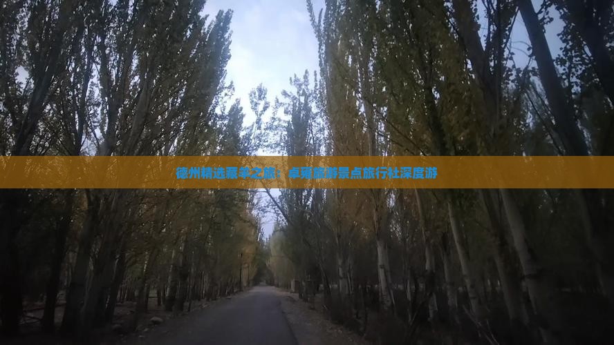 德州精选藏羊之旅：卓雍旅游景点旅行社深度游