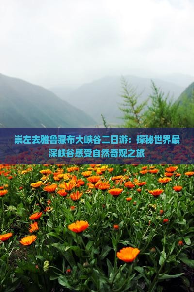 崇左去雅鲁藏布大峡谷二日游：探秘世界最深峡谷感受自然奇观之旅