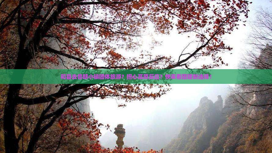 和县去鲁朗小镇团体旅游？担心高原反应？快来看团建新选择！