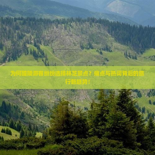 为何醴陵游客纷纷选择林芝景点？痛点与热词背后的旅行新趋势！