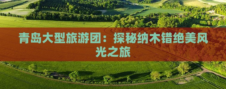 青岛大型旅游团：探秘纳木错绝美风光之旅