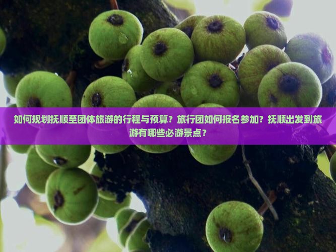 如何规划抚顺至团体旅游的行程与预算？旅行团如何报名参加？抚顺出发到旅游有哪些必游景点？