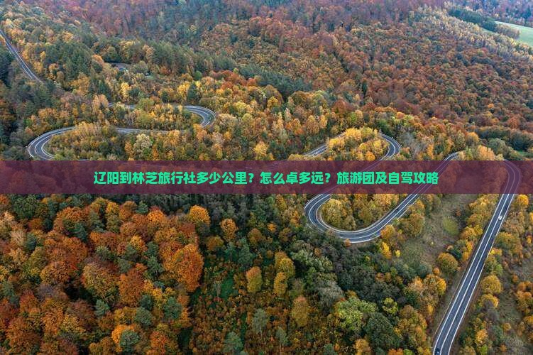 辽阳到林芝旅行社多少公里？怎么卓多远？旅游团及自驾攻略
