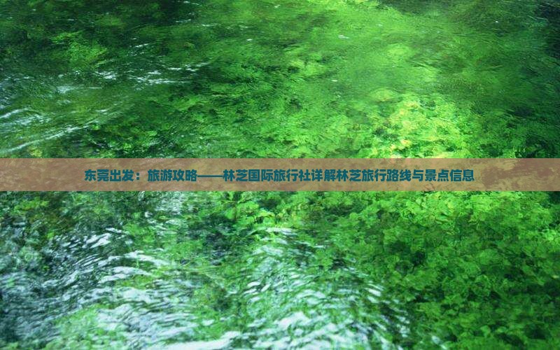 东莞出发：旅游攻略——林芝国际旅行社详解林芝旅行路线与景点信息