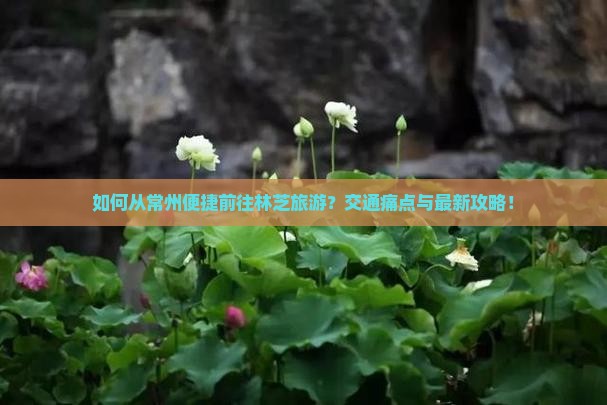 如何从常州便捷前往林芝旅游？交通痛点与最新攻略！