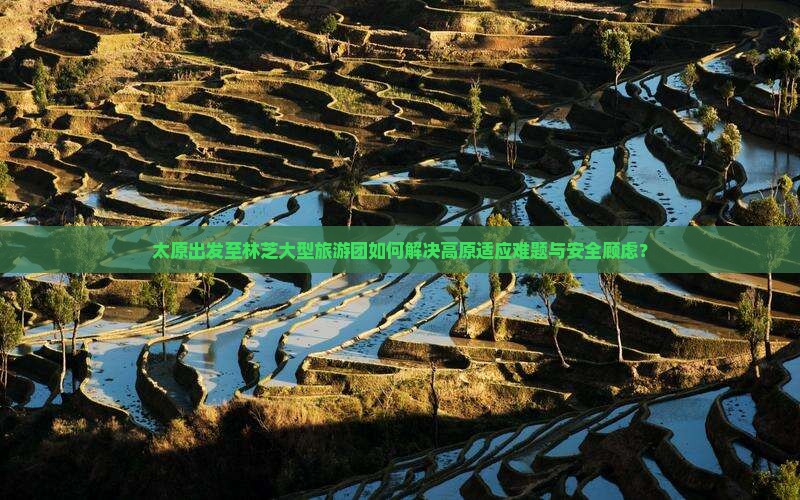太原出发至林芝大型旅游团如何解决高原适应难题与安全顾虑？