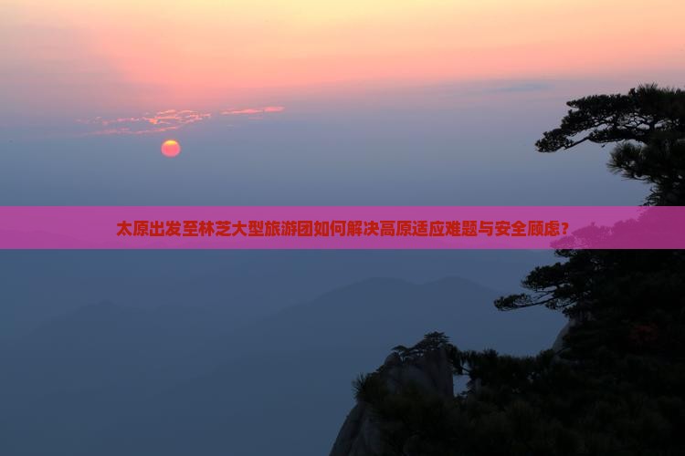 太原出发至林芝大型旅游团如何解决高原适应难题与安全顾虑？