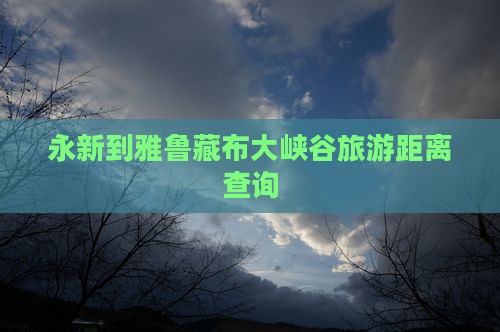 永新到雅鲁藏布大峡谷旅游距离查询