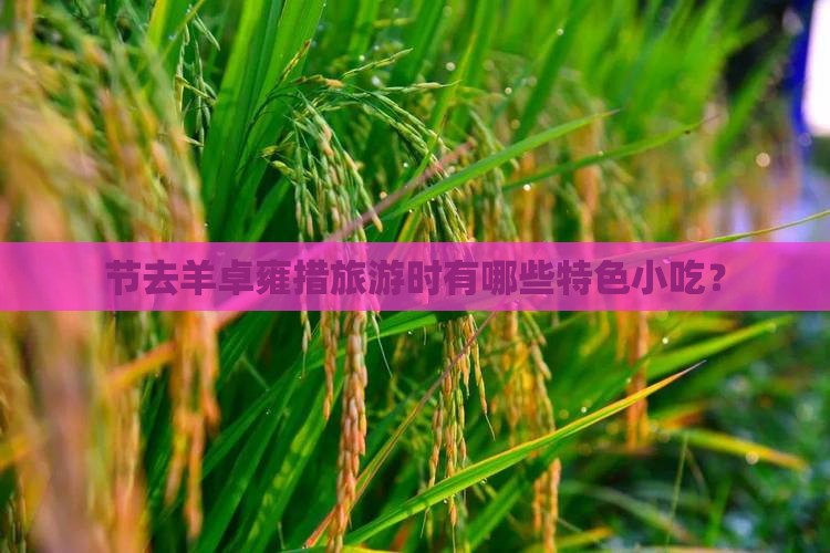 节去羊卓雍措旅游时有哪些特色小吃？