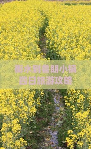 衡水到鲁朗小镇四日旅游攻略