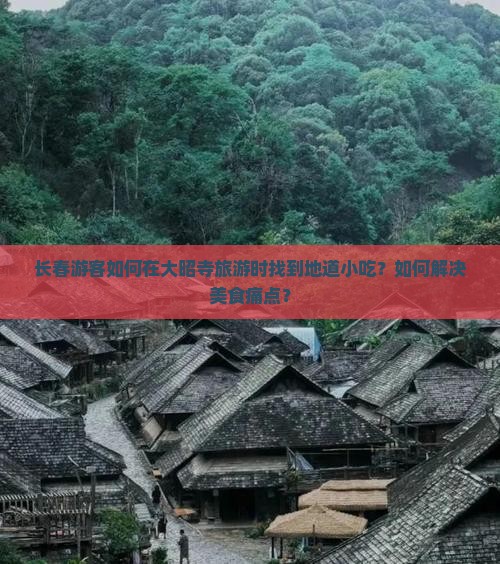 长春游客如何在大昭寺旅游时找到地道小吃？如何解决美食痛点？