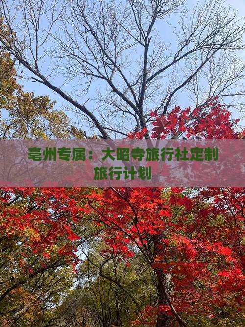 亳州专属：大昭寺旅行社定制旅行计划