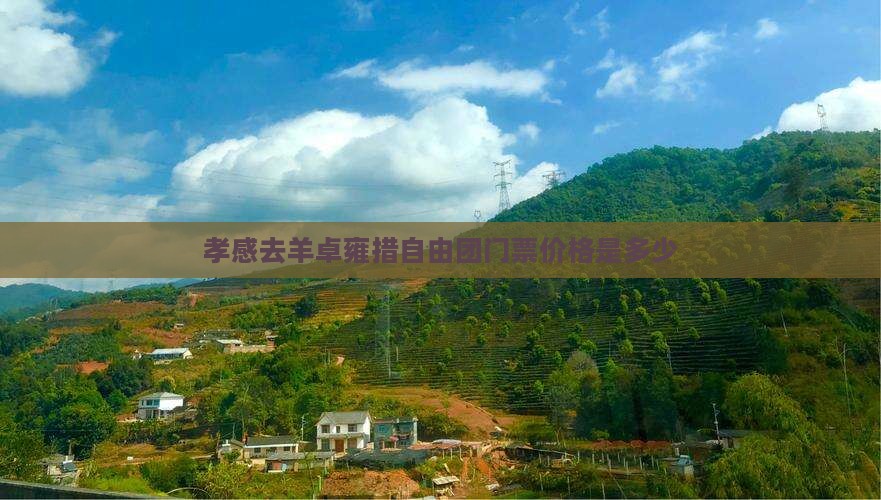 孝感去羊卓雍措自由团门票价格是多少