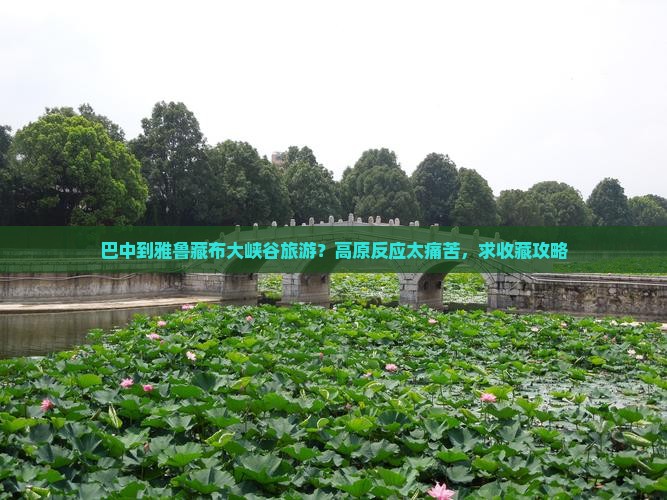 巴中到雅鲁藏布大峡谷旅游？高原反应太痛苦，求收藏攻略