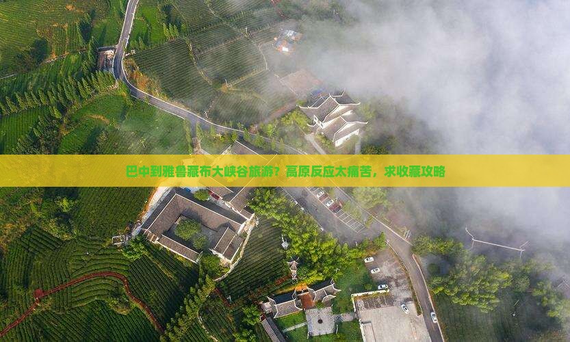 巴中到雅鲁藏布大峡谷旅游？高原反应太痛苦，求收藏攻略