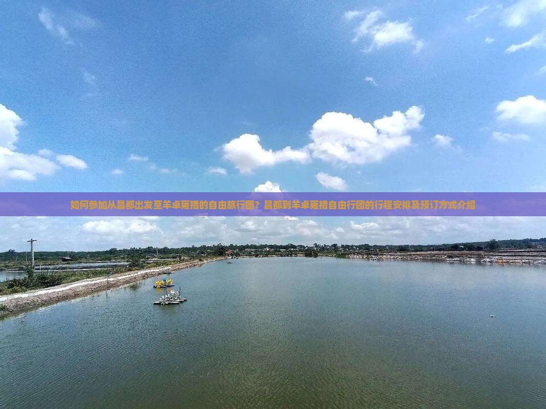 如何参加从昌都出发至羊卓雍措的自由旅行团？昌都到羊卓雍措自由行团的行程安排及预订方式介绍