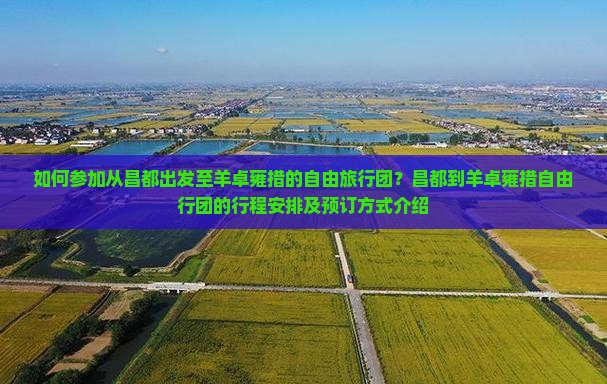 如何参加从昌都出发至羊卓雍措的自由旅行团？昌都到羊卓雍措自由行团的行程安排及预订方式介绍