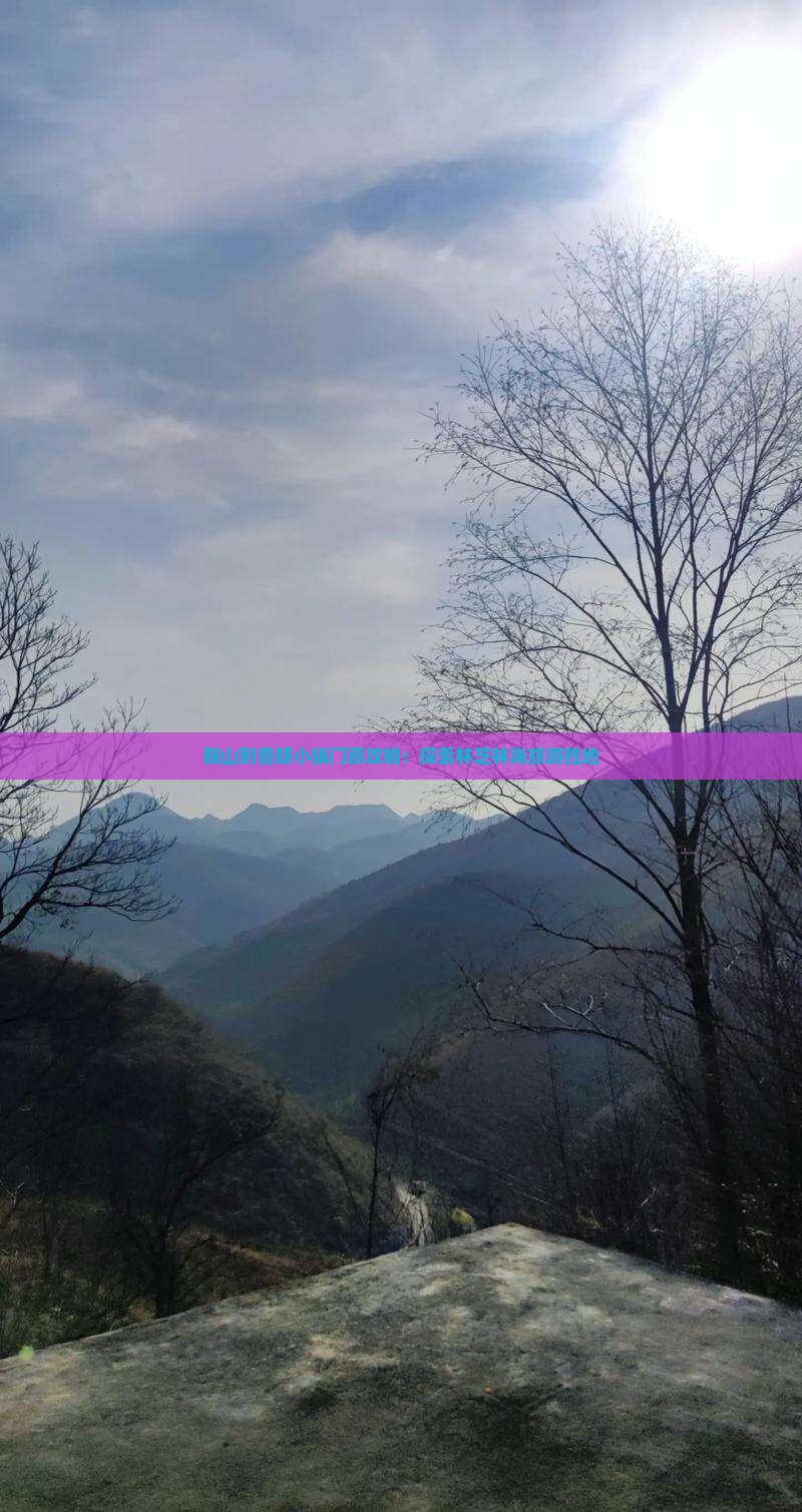 鞍山到鲁朗小镇门票攻略：探索林芝林海旅游胜地