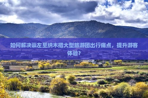 如何解决崇左至纳木措大型旅游团出行痛点，提升游客体验？
