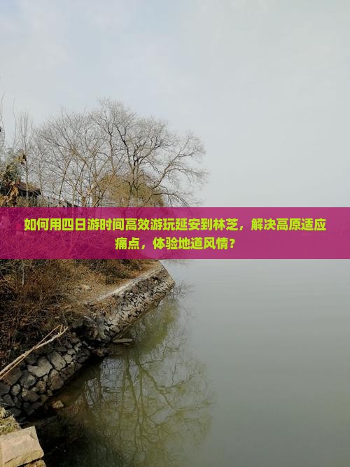 如何用四日游时间高效游玩延安到林芝，解决高原适应痛点，体验地道风情？