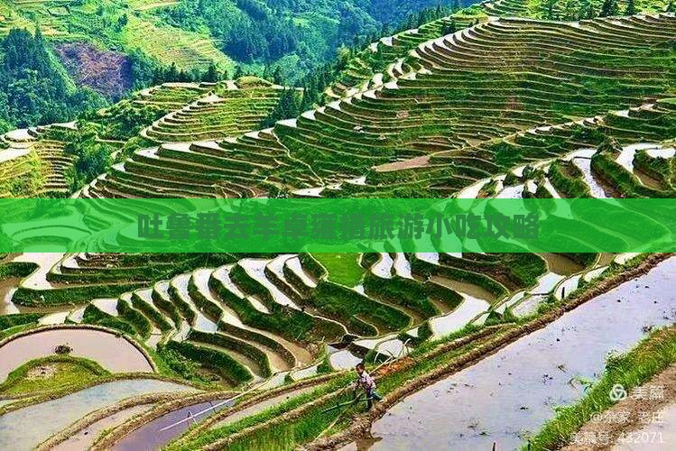 吐鲁番去羊卓雍措旅游小吃攻略