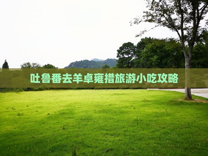 吐鲁番去羊卓雍措旅游小吃攻略