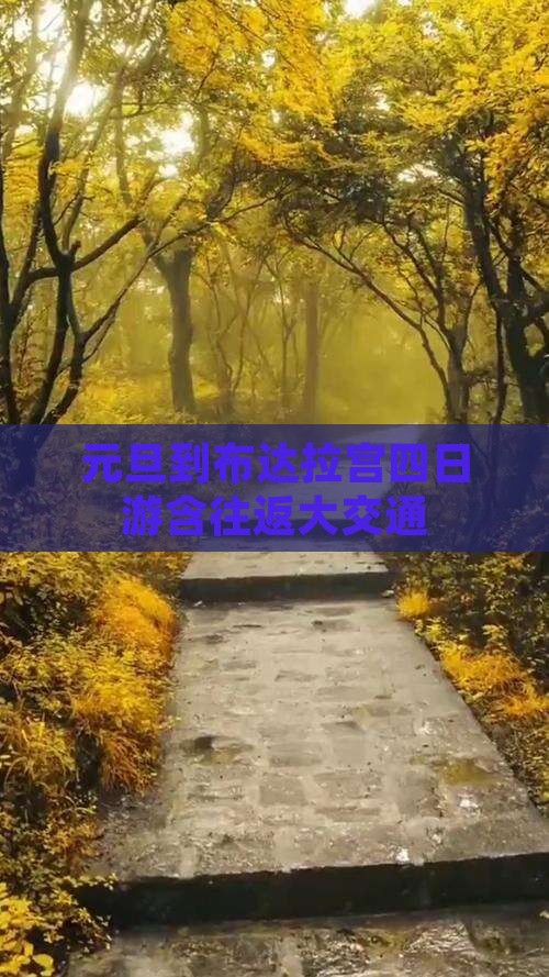 元旦到布达拉宫四日游含往返大交通