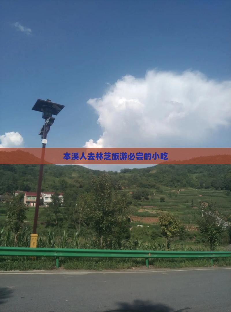 本溪人去林芝旅游必尝的小吃