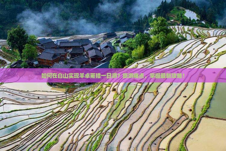 如何在白山实现羊卓雍措一日游？旅游痛点，掌握最新攻略！