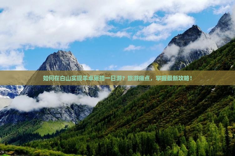 如何在白山实现羊卓雍措一日游？旅游痛点，掌握最新攻略！