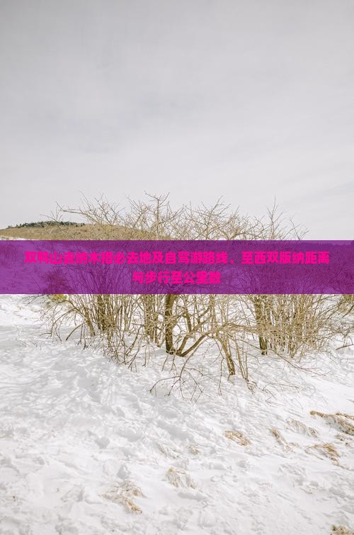 双鸭山去纳木措必去地及自驾游路线、至西双版纳距离与步行至公里数