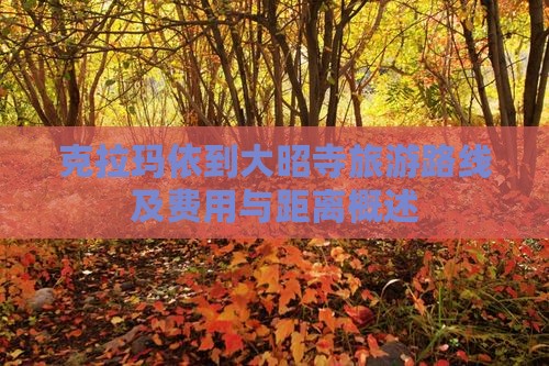 克拉玛依到大昭寺旅游路线及费用与距离概述