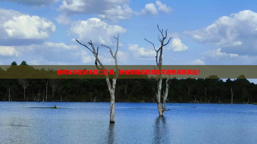 如何实华至纳木措二日游，快速领略高原美景又避免高原反应？