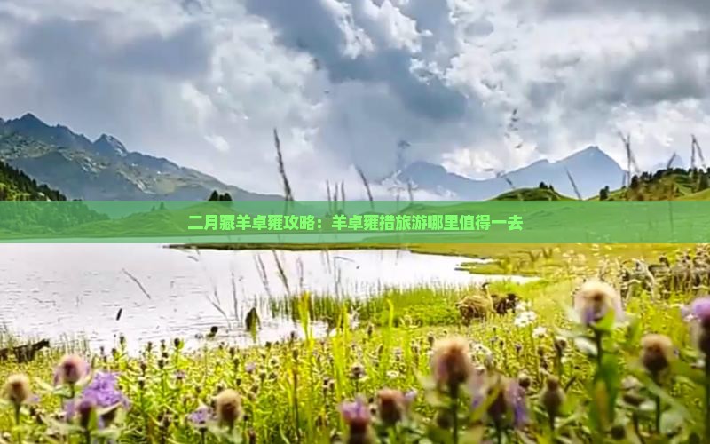 二月藏羊卓雍攻略：羊卓雍措旅游哪里值得一去