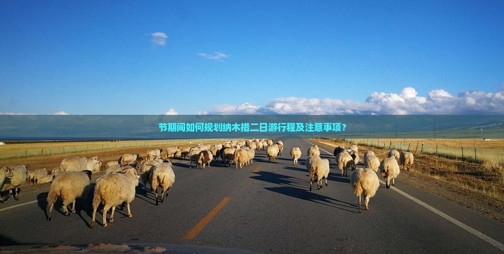 节期间如何规划纳木措二日游行程及注意事项？