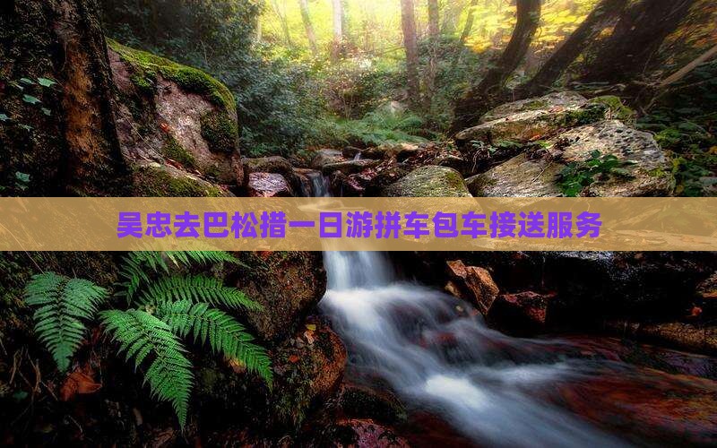 吴忠去巴松措一日游拼车包车接送服务