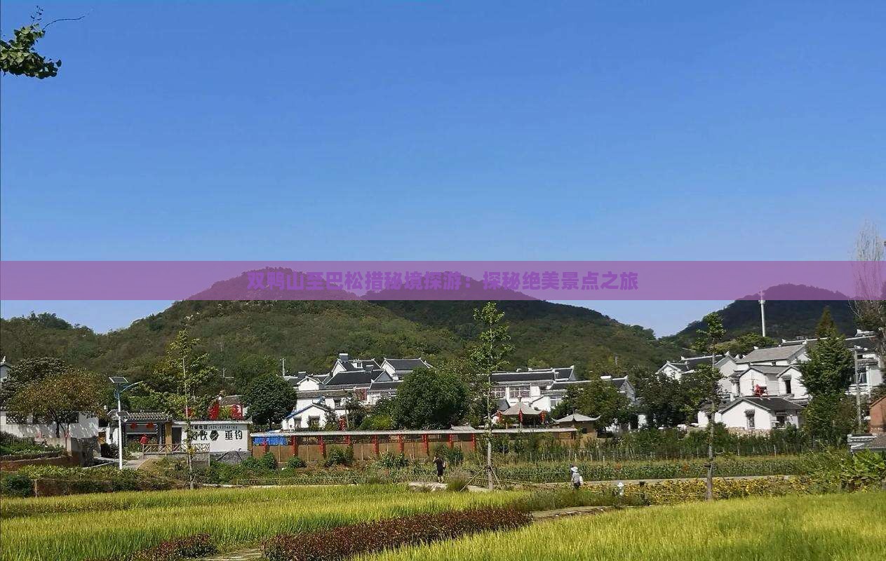 双鸭山至巴松措秘境探游：探秘绝美景点之旅