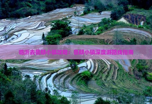 临沂去鲁朗小镇攻略：鲁朗小镇深度游路线指南