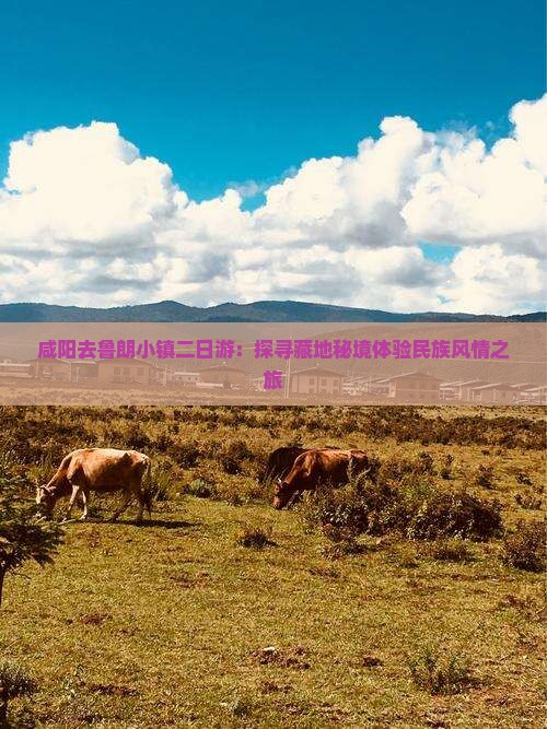 咸阳去鲁朗小镇二日游：探寻藏地秘境体验民族风情之旅