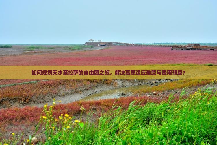 如何规划天水至拉萨的自由团之旅，解决高原适应难题与费用预算？