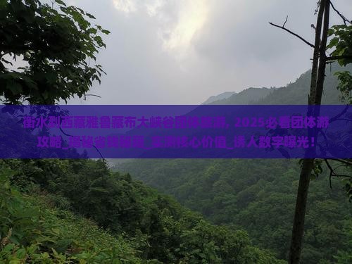 衡水到西藏雅鲁藏布大峡谷团体旅游