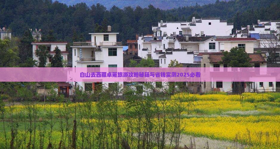 白山去西藏羊卓雍措四日游